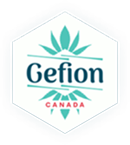 +Gefion logo