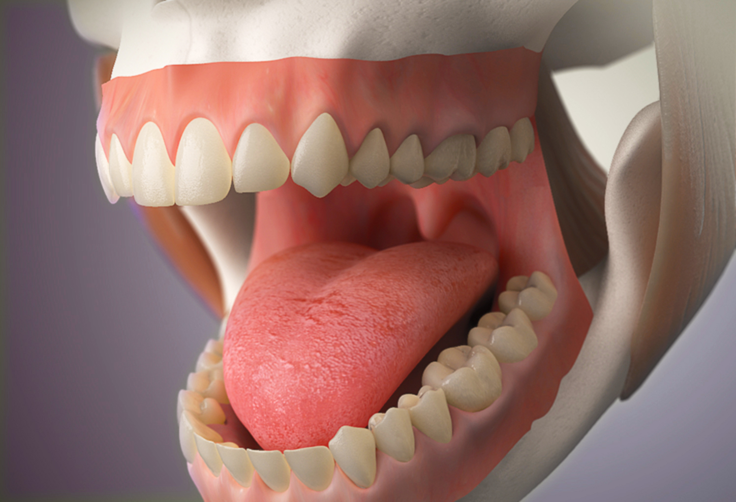 + medical illustration +Dental Illustration